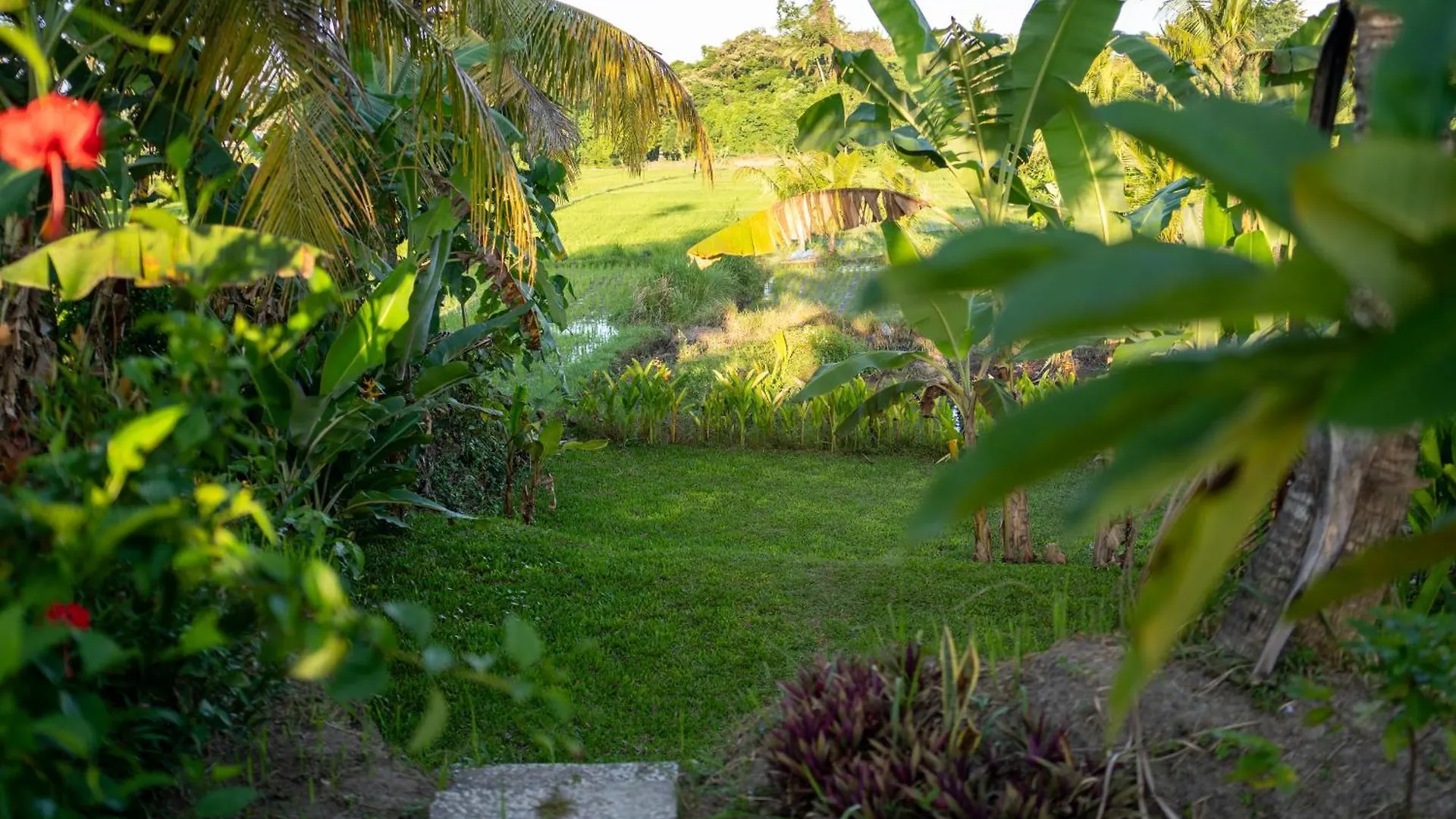 Green Swaha Mas Wooden Villa Ubud  Indonesia