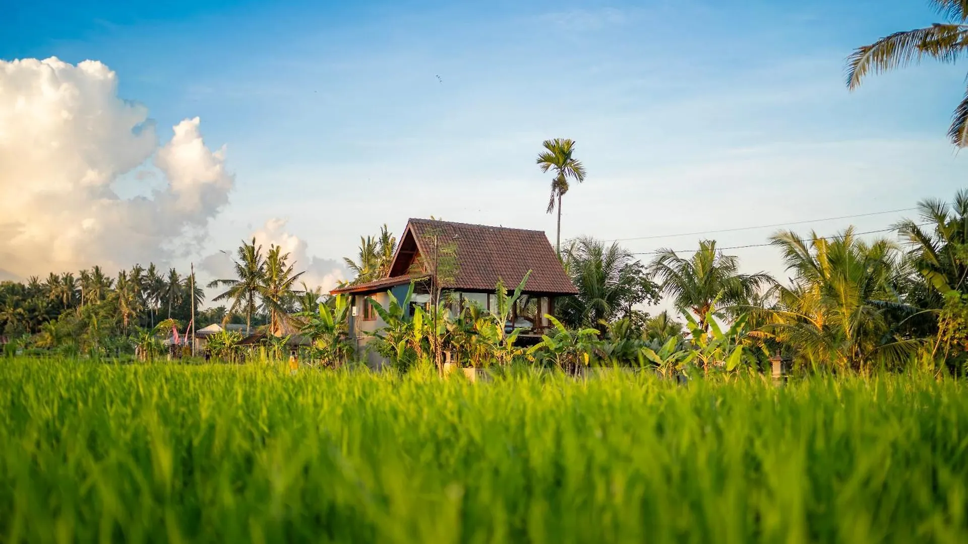 Green Swaha Mas Wooden Villa Ubud